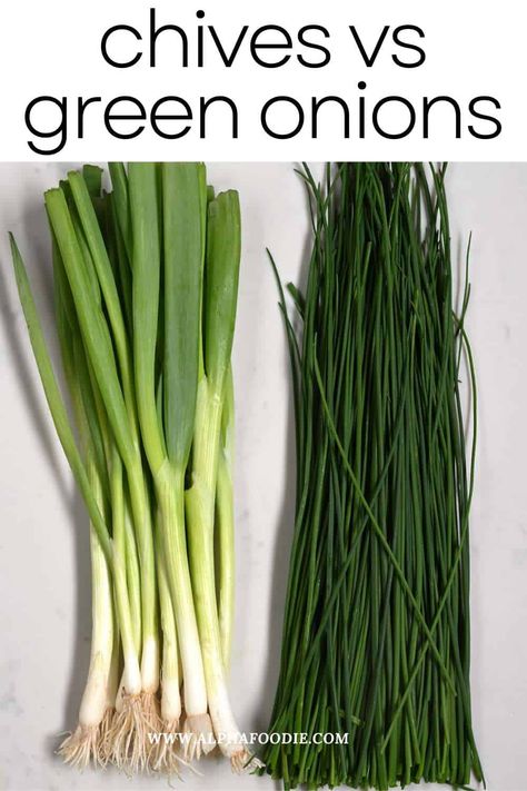 Chives vs green onions vs scallions: what's the difference? How to use them? Can you use them interchangeably? It's all covered here! Green Onions Recipes, Freezing Herbs, Freeze Greens, Ginger Chicken, Diy Pantry, Onion Recipes, Food Science, Fresh Chives, Spring Onion