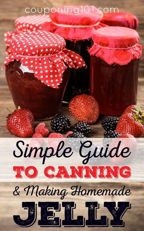 Honeysuckle Jelly, Homemade Jams, Couponing 101, How To Make Jelly, Canning Jam, Canning Tips, Homemade Jelly, Jelly Recipe, Canned Goods