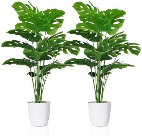 SAJANDAS Set of 2 Artificial Monstera Deliciosa Plants in Pots, Fake Tropical Palm Tree with Greenery Leaves Stems, 28 Inch Artificial Cheese Plant for Home Bathroom, Office, Windowsill Decor
#ad #affiliatelink #summer #summertime #summervibes  #summerfun #summerfashion #summerstyle #summernights #summerlove #summertimeshine #summervacation #summerready  #summerlovin #summermemories #beach #essentials #tropical Window Sill Decor, Porch Plants, Outdoor Walkway, Garden Patio Decor, Cheese Plant, Leaf Texture, Artificial Trees, Monstera Plant, Monstera Deliciosa