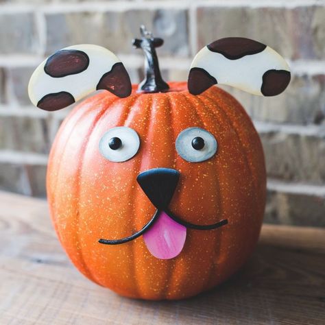 Pumpkin Animals, Pumpkin Parts, Parts Of A Pumpkin, Creative Pumpkin Decorating, No Carve Pumpkin Decorating, Pumpkin Decorating Contest, Painting Pumpkins, Pumpkin Contest, Cinderella Pumpkin