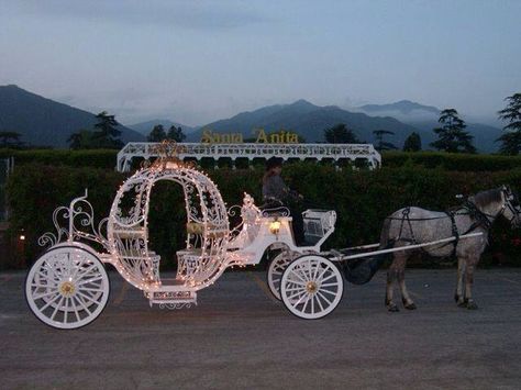 Carriage Horse And Carriage Prom, Princess Carriage Photoshoot, Quinceanera Entrance Horse, Wedding Carriage Horse, Wedding Horse And Carriage, Fairytale Theme Quinceanera, Carriage Photoshoot, Sweet 16 Cinderella Theme, Fairytale Carriage