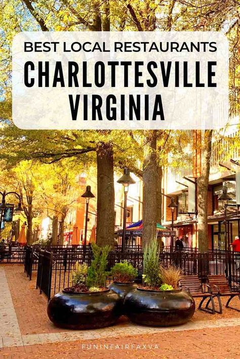 Things To Do In Charlottesville Va, Charlottesville Wineries, Virginia Vacation, Virginia Travel, Virginia City, Virginia Is For Lovers, Charlottesville Virginia, Us Road Trip, Charlottesville Va