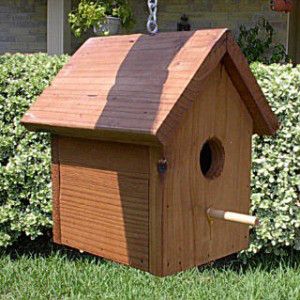 wood projects bird feeders Bug Hotels, Bird House Plans Free, Lawn Repair, Backyard Birds Sanctuary, Birdhouse Plans, Birds House, Garden Conservatory, Birdhouses Bird Feeders, Bird House Feeder