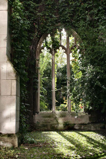 this would be a wonderful place to seek solitude Green Academia, Gothic Garden, Dark Green Aesthetic, Slytherin Aesthetic, Big Garden, The Secret Garden, Academia Aesthetic, Old Building, Abandoned Houses