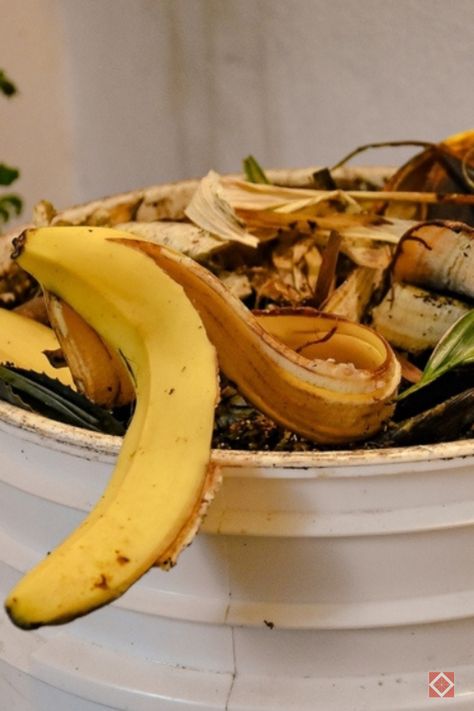 Discover how banana peels can revolutionize your gardening routine! Packed with potassium, phosphorus, and calcium, banana peels make an excellent natural fertilizer. Bury them near the base of your plants or chop and mix them into the soil to promote robust root development and overall plant strength. Start using banana peels today and watch your garden thrive with this nutrient-rich, eco-friendly solution. Banana Fertilizer Plants, Banana Peels In The Garden, Banana Peels For Plants, Banana Fertilizer How To Make, Banana Peel Fertilizer, Banana Peels, Rose Fertilizer, Composting Process, Seedling Pots