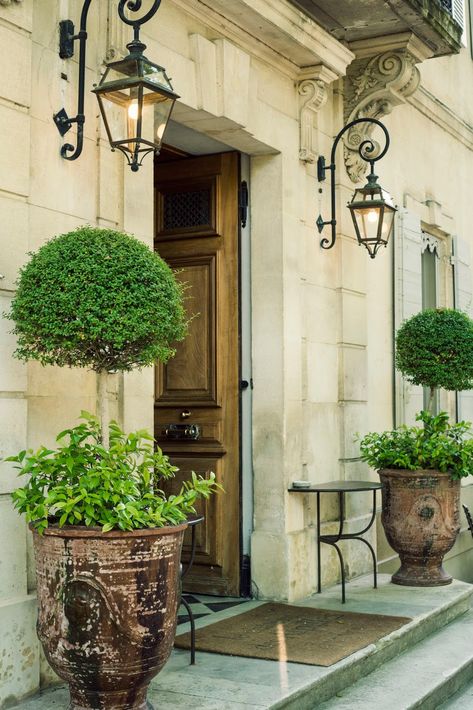 Garden Notes, Zsazsa Bellagio, European Cottage, Topiaries, French Cottage, French Garden, French Chateau, Lighting Outdoor, The South Of France