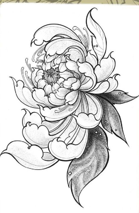 Japanese Chrisantemum Tattoo Design, Chrisantemum Flower Tattoo Design, Japan Flower Tattoo Design, Japan Flower Drawing, Japanese Flower Tattoo Art, Spidermum Flowers, Japan Flowers Tattoo, Chrisantemum Flower Drawing, Japanese Peony Drawing