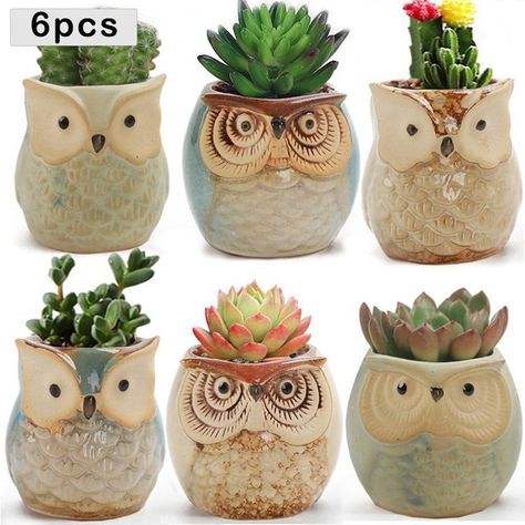 6pcs Owl Pot Ceramic Flowing Glaze Base Serial Set Succulent - Etsy Australia Ceramic Succulent Pots, Owl Planter, Cactus Plant Pots, Small Flower Pots, Ceramic Succulent, Owl Pet, Ceramic Flower Pots, Ceramic Owl, Bonsai Pots