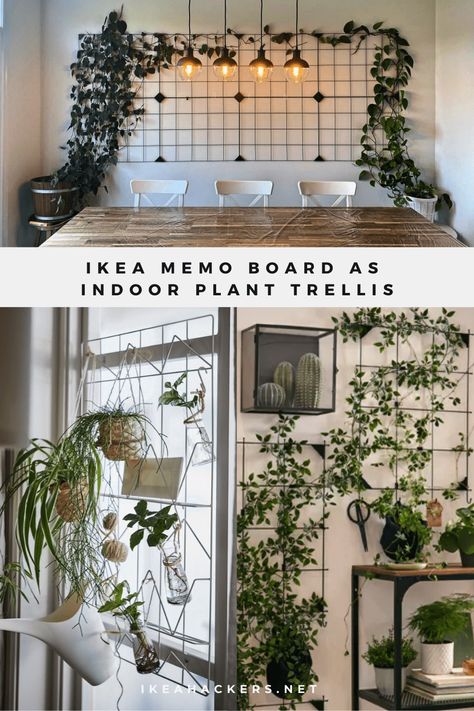 An IKEA item that's surprisingly good for indoor climbing plants. IKEA memo boards work so well as an indoor plant trellis. Record And Plant Wall, Ikea Living Wall, Ikea Memo Board Ideas, Plant Wall Dining Room Ideas, I Door Plant Wall, Indoor Trellis Wall Decor, Ikea Wall Plant Ideas, Ivy Plant Room Decor, Ideas For Climbing Plants Indoor