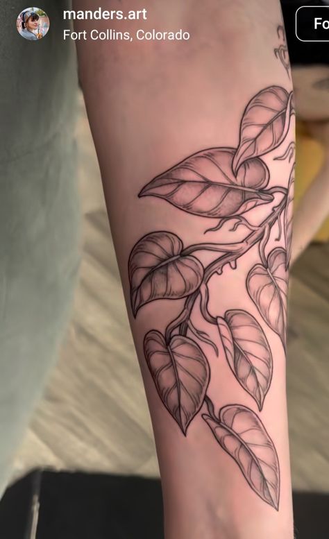 Scindapsus Tattoo, Pothos Leg Tattoo, Plant Tattoo, Tatting, Tattoos