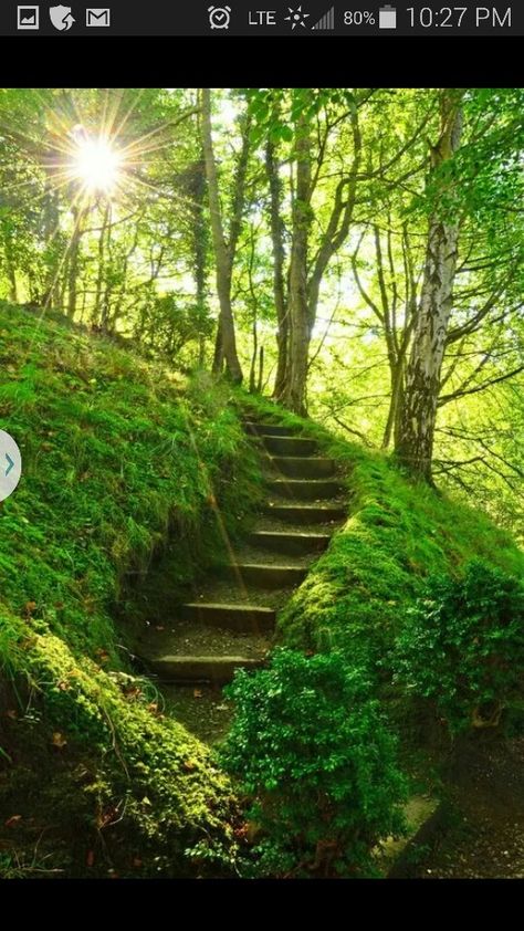 Fairy stairs Pathway Landscaping, Garden Stairs, Forest Path, Garden Pathway, Stairway To Heaven, In The Forest, Garden Paths, In The Woods, Nature Photos