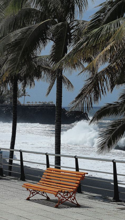 ˚Canary Islands Bench Rest, Park Benches, Cedar Garden, Hope Photography, Nice Place, Island Beach, Garden Bench, Canary Islands, Vacation Destinations