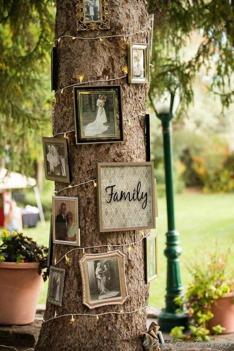 Remembrance Tree Wedding, Field Wedding Reception, Dream Wedding Decorations, Rustic Wedding Diy, בר מצווה, Future Wedding Plans, Outdoor Wedding Decorations, Salou, Cute Wedding Ideas