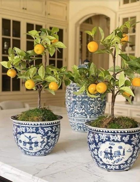 Lemon Tree Potted, Lemon Home Decor, Lemon Decorations, Lemon Kitchen Decor, Blue Hydrangea Flowers, Blue And White Chinoiserie, Spring Refresh, The Enchanted Home, Blue White Decor