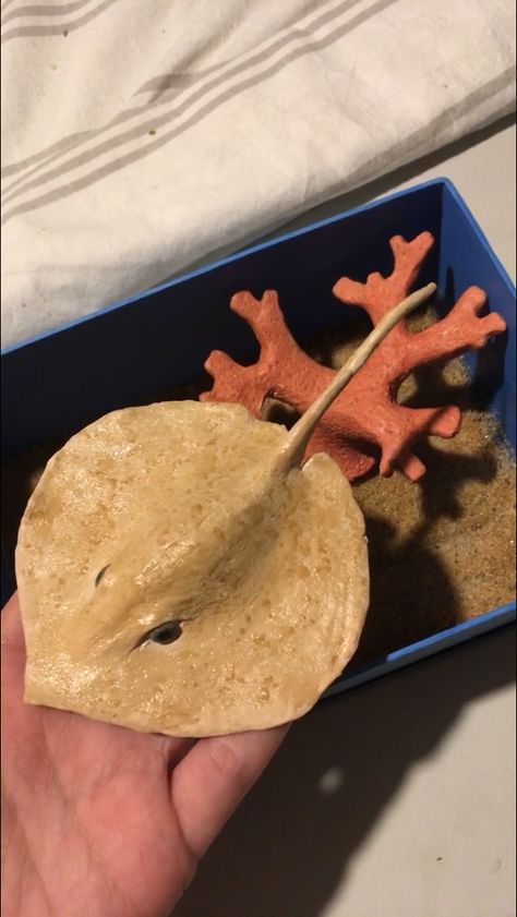 Air Dry Clay Stingray, Stingray Pottery, Clay Ocean Animals, Clay Stingray, Clay Sea Animals, Stingray Clay Sculpture, Stingray Painting, Stingray Ceramic, Clay Sculpture Sealife