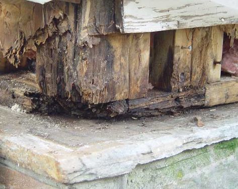 Fixing Decayed (Rotted) Wood | Fixing Our Historic House Rotten Wood, Wood Waste, Wood Repair, Deck Designs Backyard, Wood Scraps, Building Furniture, Historic House, Frame Ideas, Wood Studs