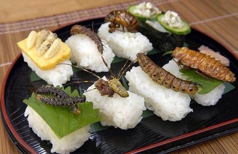 Eating Certain Foods Edible Bugs, Tomato Hornworm, Edible Insects, Bizarre Foods, Sushi Roll, Rich In Protein, Eating Raw, Chicken Seasoning, Beetles