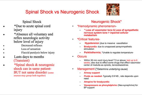 Spinal Shock Vs Neurogenic Shock, Advanced Med Surg Nursing, Nursing Shock, Neurogenic Shock, Shock Nursing, Pcu Nurse, Nursing Motivation, Med Surg Nursing, Nursing Assessment