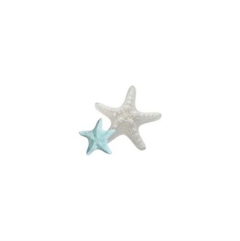 Starfish Widget, Phone Wallpaper Themes, Web Cafe, Lockscreen Ios, Beach Icon, Digital Collage Art, Summer Iphone, App Pictures, Summer Icon