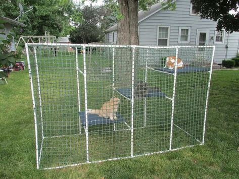 Diy Cat Enclosure, Diy Chat, Cat Fence, Cat Patio, Cat Cage, Cat Run, Outdoor Cat Enclosure, Dog Pen, Pet Enclosure