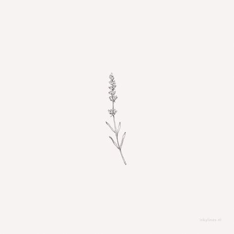 Hase Tattoos, Lavender Illustration, Lilac Tattoo, Tiny Flower Tattoos, Lavender Tattoo, Wildflower Tattoo, Small Flower Tattoos, Dainty Tattoos, Simplistic Tattoos