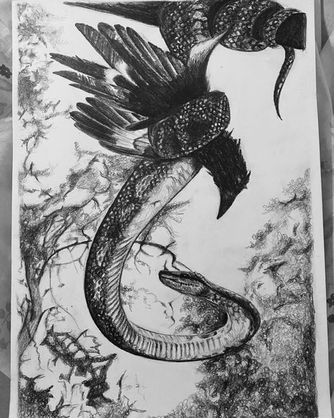 Contradiction Art, Snake Sketch, Crows Drawing, Art Competition Ideas, Nature Scene Tattoo, Snake Drawing, Anime Drawing Books, Snake Art, Animation Art Sketches