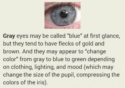 Hazel Grey Eyes, Grey Eyes Makeup, Gray Eye Color, Green Grey Eyes, Gray Green Eyes, Blue Eye Facts, Grey Blue Eyes, Blue Grey Eyes, Eye Color Facts