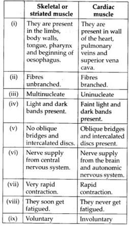 Locomotion And Movement Notes, Human Health And Disease Notes, Locomotion And Movement, Disease Notes, Human Health And Disease, Uni Notes, Anatomy Teacher, Class 11 Biology, Tissue Biology