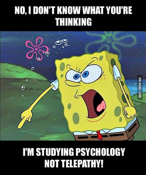 As A Psychology Student. Psychological Quotes, Spongebob Face, Psych Memes, Psychology Memes, Therapist Humor, Psych Major, Therapy Humor, Psychology Humor, Psychology Jokes