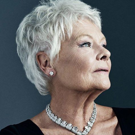 A Daily Dose of our beloved Dame Judi Dench in Pictures. Judy Dench Hair, Judy Dench, Judi Dench, Grey Hair Styles For Women, Sophia Loren, Aging Gracefully, Interesting Faces, Famous Faces, Grey Hair