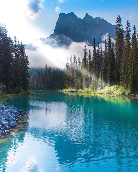 Best Places To Travel 🗺️ on Twitter: "🇨🇦Canada https://t.co/enc4XfLdM6" Emerald Lake Canada, Canada Nature, Ancient Places, Yoho National Park, Serenity Now, Amazing Gifs, Emerald Lake, Lake Forest, Destination Voyage