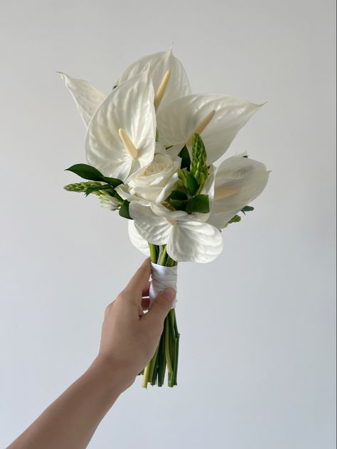 Green Anthurium Bouquet, Anthurium Bouquet Wedding, White Anthurium Bouquet, Anthurium Wedding Bouquet, Minimalist Wedding Flowers, Classy Wedding Bouquet, Orchid Buttonhole, White Anthurium, Anthurium Bouquet