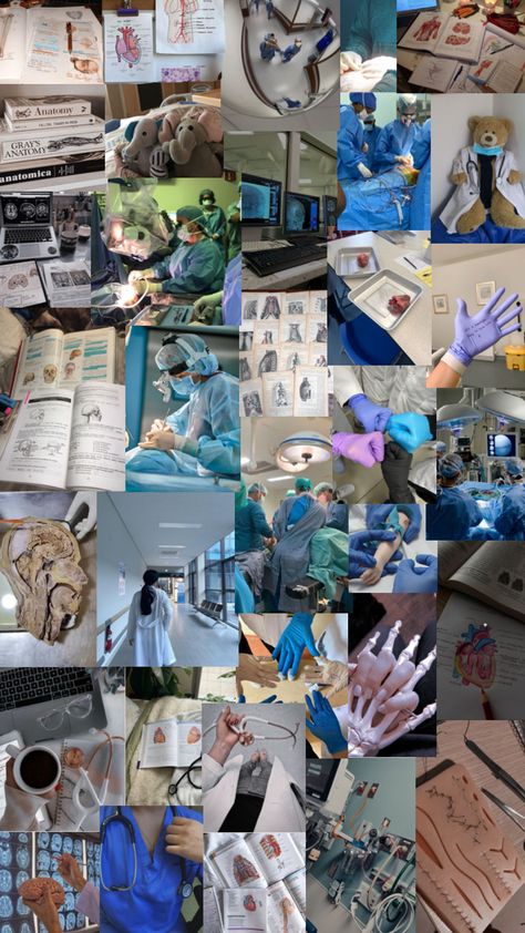 🥼🫁⋆˙⟡⚕🫀🩺⊹🤍🧠 #doctor #dream #wallpaper #inspo #fyp #savelives #study #collages Doctor Dream, Shuffle Wallpaper, Inspo Wallpaper, Dream Wallpaper, Hobbies, Medical, Collage