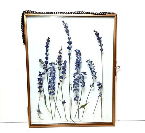 Hey, I found this really awesome Etsy listing at https://www.etsy.com/listing/638853525/dried-lavender-art-gift-for-mom-pressed Grandmas Flowers, Frame Dried Flowers, Pressed Flowers Frame, Fern Flower, Flowers Lavender, Dried And Pressed Flowers, Dorm Walls, Lavender Flower, Work Spaces