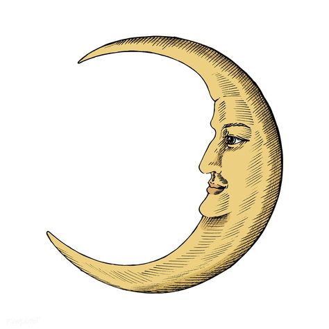 Hand drawn sketch of a crescent moon | premium image by rawpixel.com Moon Illustration Aesthetic, Half Moon Painting, Vintage Moon Illustration, Crescent Moon Aesthetic, Crescent Moon Drawing, Crescent Moon Illustration, Letterpress Tray, Vintage Crescent Moon, Moon Faces