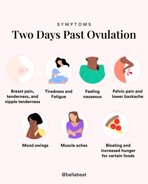 If you are trying to conceive, and the sperm is present in your body, one sperm cell might succeed to get in, and that is how we get a fertilized egg. The result of this process is what we call a zygote, which is a fertilized egg. At 2 DPO, the fertilized egg will continue to travel towards the uterus, with its cells dividing about every fifteen hours. Here are some of the symptoms you may experience two days after ovulation. Sperm Cell, Ovulation Symptoms, Healthy Pregnancy Tips, Planning Pregnancy, Lower Back Pain Exercises, Early Pregnancy, Menstrual Health, Feminine Health, Pelvic Pain