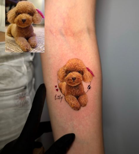 •Lily 💕 . . . #dogtattoo #tattoo #portrait #memories #dogoftheday #dogofinstagram #doglover #art #artist #animallovers Golden Doodle Tattoo, Tattoo Portrait, Doodle Tattoo, Golden Doodle, Dog Tattoo, Dog Days, Art Artist, Dog Lovers, Lily