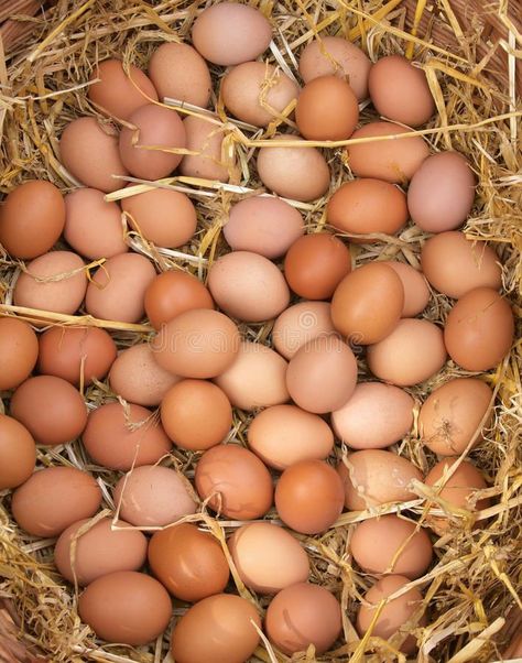 World Egg Day, Eggs In Basket, Storing Eggs, Eggs Image, Eggs In A Basket, Egg Pictures, Food Event, 7 October, Brown Eggs