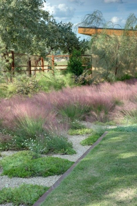 Texas Hill Country landscape design. Pink muhly grass, silver phony foot. Drought tolerant plants. Garden design inspiration. Slope Garden, Hotel Landscape, Grasses Landscaping, Sloped Garden, Country Landscape, Modern Landscape Design, Grasses Garden, Landscape Concept, Landscape Architecture Design