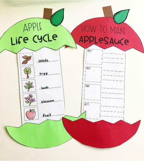 We love celebrating Apple Day in first grade! Check out these ideas for Apple Day Stations and apple activities for the classroom! Read about making easy crockpot applesauce in the classroom, learning about the apple life cycle, completing apple centers, making apple crafts, and learning about Johnny Appleseed! PLUS grab some free apple activity pages for planning your apple unit this year! Make an Apple KWL chart and write some new facts about apples! Perfect for the elementary classroom! Jonny Apple Seed Activities, Apple Investigation First Grade, Apples First Grade Activities, Stem Activities With Apples, Apple Activities Second Grade, October First Grade Activities, Apple Art First Grade, Johnny Apple Seed Activities, National Apple Day