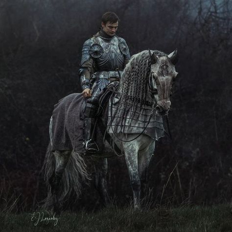 Lone Warrior, Knight On Horse, Radio Silence, Missing In Action, Equine Portraits, Horse Inspiration, Photoshop Images, Breaking In, Horse Owner