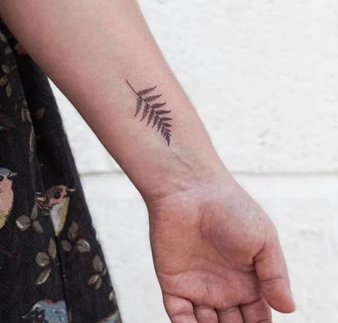 Fern Tattoo With Words, Small Fern Tattoos, Fern Tattoo New Zealand, Tiny Plant Tattoo, Small Fern Tattoo, Starter Tattoos, Earthy Tattoos, New Zealand Tattoo, Tattoos Inspo