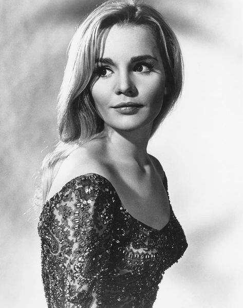 Tuesday Weld Belinda Lee, Tuesday Weld, Blake And Ryan, Turner Classic Movies, Old Hollywood Stars, Classic Actresses, Actrices Hollywood, Vintage Hollywood, Classic Movies