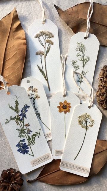 Irene on Instagram: "Handmade bookmarks and gift tags with pressed plants🌿 I always add these cute things to packages🌸 . . #bookmarks #bookmarkswithflowers #gifttags #botanicalgifttags #botanicalbookmarks #pressedflowersart #pressedplantart #handmadecards #cardswithpressedflowers" Fabric Christmas Ornaments Patterns, Christmas Ornaments Patterns, Handmade Bookmarks Diy, Pressed Flower Crafts, Ornaments Homemade, Creative Bookmarks, Fabric Christmas Ornaments Diy, Folded Fabric Ornaments, Folded Fabric