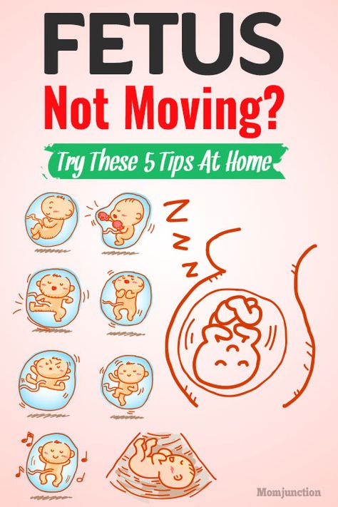 Fetus Not Moving Try These 5 Tips At Home Baby In Womb, Fetal Movement, Pregnancy Hacks, Pregnant Baby, Happy Pregnancy, Pregnancy Guide, Baby Kicking, Pumping Moms, Baby Sleep Problems