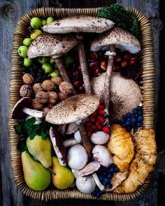 Sacred Garden, Brambly Hedge, Foraged Food, Natural Ecosystem, Veg Garden, Mushroom Fungi, Growing Food, Edible Garden, Cute Food