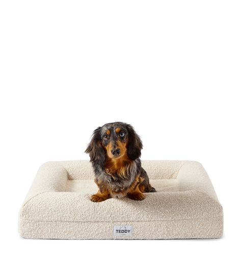 From beautiful boucle bolster dog beds to chic luxury boucle crate cushions and more, check out 7 stylish boucle dog beds for pampered pups and design-savvy pet parents right here! - PICTURED Feat. the Teddy London Bouclé Dog Bed via Harrods White Dog Bed, Boucle Bed, Cheap Dog Beds, Dog Bed Sizes, Medium Dog Bed, Cama Pet, Bed White, Dog List, Dog Beds For Small Dogs