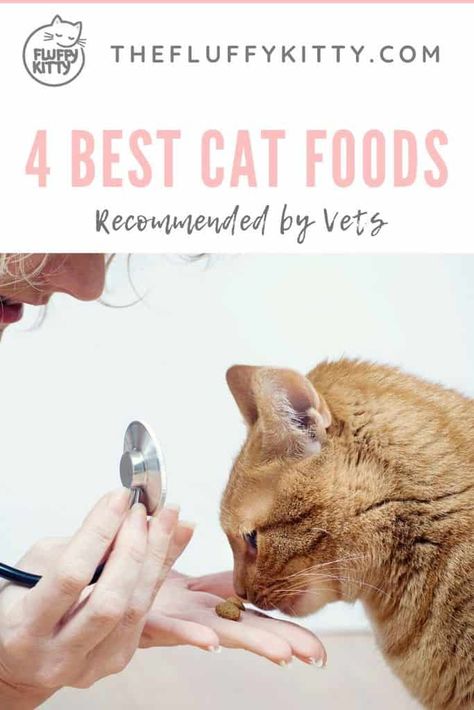 Healthy Cat Food, Natural Cat Food, Homemade Cat Food, Cat Food Brands, Best Cat Food, Cat Nutrition, Canned Cat Food, Kitten Food, Homemade Cat