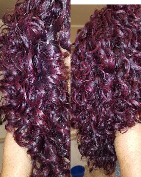 Raspberry Curly Hair, Color Hair Ideas For Curly Hair, Cute Hair Dye Ideas For Curly Hair Purple, Red Violet Curly Hair, Cherry Black Hair Color Curly, Plum Red Curly Hair, Black Cherry Hair Curly, Dark Pink Hair Curly, Red Purple Curly Hair