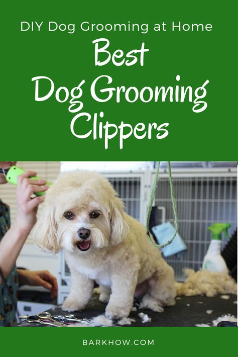 Dog Grooming At Home, Yorkie Hairstyles, Best Small Dogs, Cat Groomer, Dog At Home, Dog Grooming Clippers, Dog Clippers, Dog Cover, Home Dog